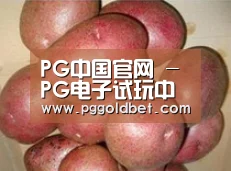 产品展示标题1