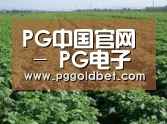 种植基地五