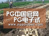 种植基地八