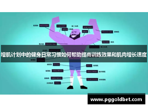 增肌计划中的健身日常习惯如何帮助提高训练效果和肌肉增长速度