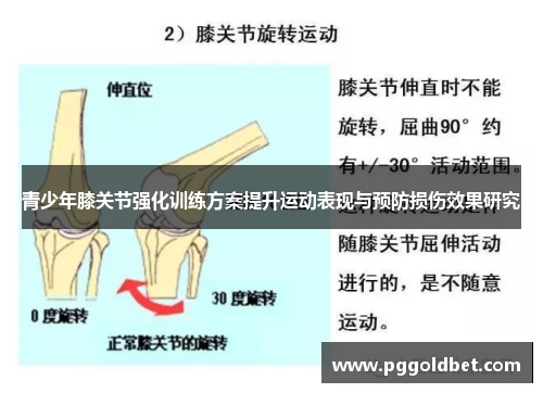 青少年膝关节强化训练方案提升运动表现与预防损伤效果研究