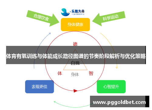 体育有氧训练与体能成长路径图谱的节奏阶段解析与优化策略