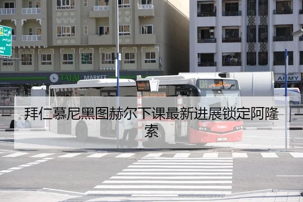 bai-ren-mu-ni-hei-tu-he-er-xia-ke-zui-xin-jin-zhan-suo-ding-a-long-suo-3-912.jpg