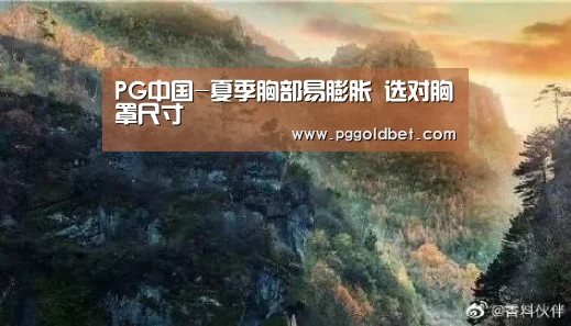 PG中国