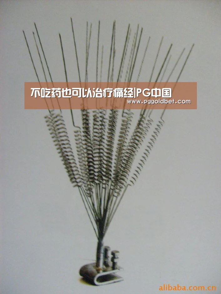 PG中国