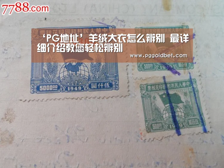 ‘PG地址’羊绒大衣怎么辨别 最详细介绍教您轻松辨别(图2) PG地址